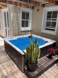 Swimmingpoolen hos eller tæt på Airlie Well, Home in Constantia