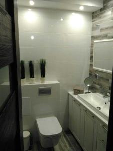 a white bathroom with a toilet and a sink at Bieszczady Apartament Gniazdo Baligród in Baligród