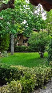 a house in the middle of a yard with trees at Lea's Ηοme in Kourouta
