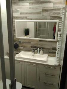 a bathroom with a sink and a mirror at Bieszczady Apartament Gniazdo Baligród in Baligród