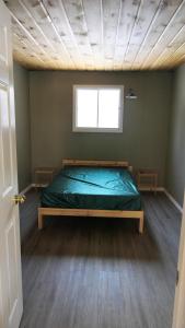 Meadowlark Cabin #5 في Maynooth: غرفة نوم بها سرير في غرفة بها نافذة