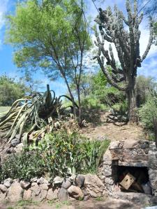 En have udenfor La Loma