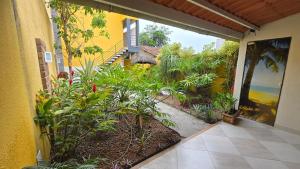 an outside view of a garden with plants at Suites Novas in Cabo Frio