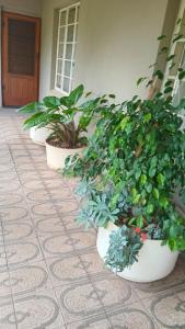 En have udenfor SashMc Flair Guesthouse + 4 billeder