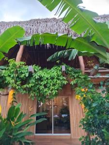 Κήπος έξω από το Finca Zayan