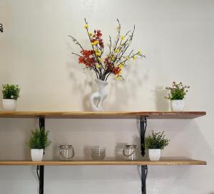 乔治敦Well Haven Apartments的花瓶上的架子