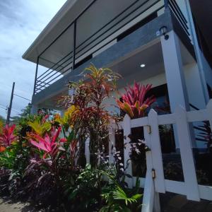 En have udenfor Hospedaje Casa Blanca Tortuguero Carey