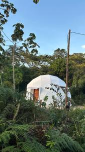 Φυσικό τοπίο κοντά σε αυτή η παραθεριστική κατοικία