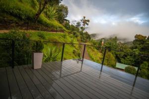 Náttúran í nágrenni hótelsins +11 myndir