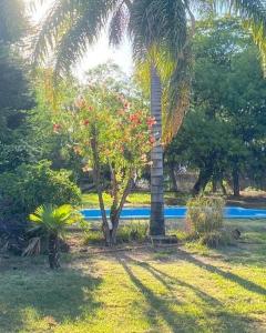 una palmera con flores rojas en un parque en Apart La Bella, en Chilecito