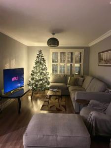uma sala de estar com uma árvore de natal e um sofá em Gleanntan House - Beautiful Town House with Free parking em Killarney