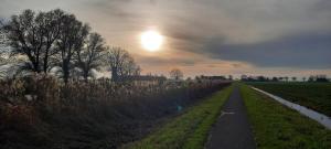 een onverharde weg in het midden van een veld bij Noardlik B&B in Birdaard