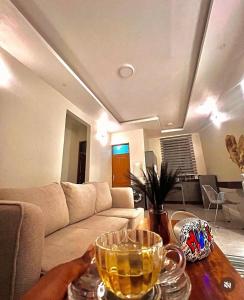 DodomaAmani Homes Appartment Dodoma的客厅里有一张沙发和一张桌子。
