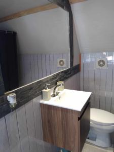 Et badeværelse på The River lodge Valdivia