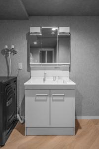 a bathroom with a white sink and a mirror at Villas Park Kamifurano in Kami-furano