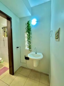ein Badezimmer mit Waschbecken und einer Pflanze an der Wand in der Unterkunft Sobrado no centro da Cidade in Palmas