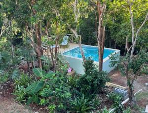 a swimming pool in a garden with trees at Palmetto House home in Governorʼs Harbour