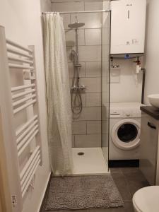 Cosy appartement calme et tout équipé idéal seul ou en couple في Seloncourt: حمام صغير مع دش وغسالة ملابس