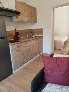 Cosy appartement calme et tout équipé idéal seul ou en couple في Seloncourt: مطبخ مع حوض واريكة في الغرفة