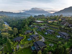 Příroda nedaleko rezortu