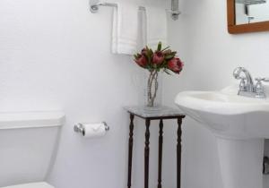 Un baño de Tomales Hotel