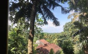 Příroda nedaleko apartmánu + 54 fotografií