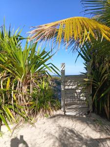 una recinzione su una spiaggia con una palma di Chalé pé na areia e vista Mar a Ilhéus