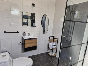 um banheiro com chuveiro, vaso sanitário e pia em Entre Quebradas y Loicas em Algarrobo mais 17 fotografias