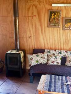 un soggiorno con divano e piano cottura di Cabaña lago tranquilo, camino valle exploradores a Puerto Tranquilo