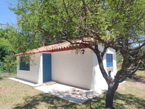 a small white building with a tree in front of it at La Calma in Los Reartes +5 photos