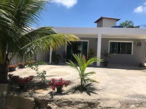 a house with a palm tree in front of it at Casa independente em tuncuns in Búzios