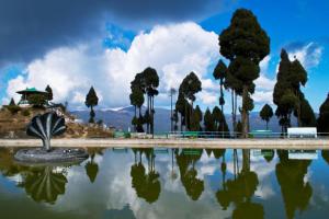 Yasha Homestay Sayachong في Sukhia Pokhari: انعكاس الاشجار في تجمع المياه