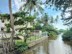 a river in front of a building and palm trees at Gin River View Point in Gintota