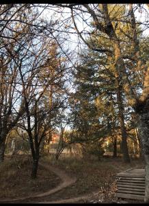 un sentiero in un parco con alberi e un sentiero di Rodolfo cabaña a Cosquín