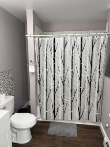 y baño con cortina de ducha y aseo. en Basement room with its own private bathroom, en Providence