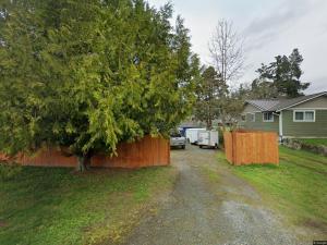 un albero in un cortile vicino a una recinzione di The basics in Edgewood a Edgewood