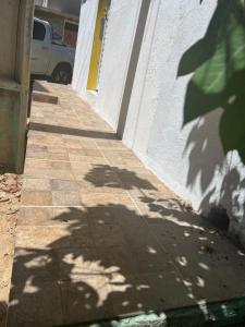 a shadow of a tree on the side of a building at Pé na festa in Aracati