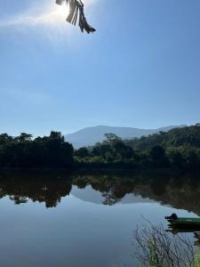 姆鲁Adventureswithst Homestay的飞过水体的鸟