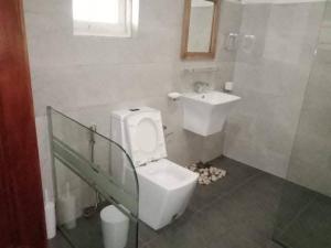 un baño con inodoro y lavabo en Lady Maccllum's Bungalow Stone Nuwareliya Sri Lanka, en Nuwara Eliya