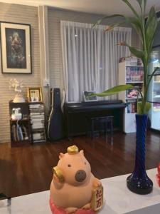 Bang ChakLittle Tree Hut的客厅里，桌子上放着一个猪形玩具。
