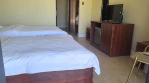 TV a/nebo společenská místnost v ubytování Sakura Hotel