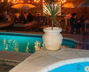 un vaso con una pianta accanto a una piscina di Brisas Serranas Departamentos a Villa Carlos Paz Altre 9 foto