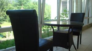 a glass table and chairs in a room with windows at Terasa in Stanishovka
