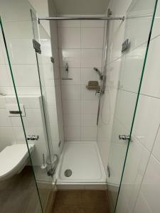 een douche met een glazen deur in een badkamer bij Gustavs Rooftop in Oldenburg +10 foto's