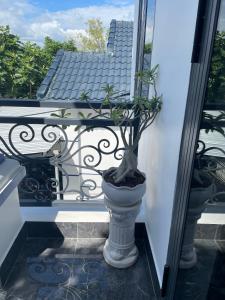une plante dans un pot sur un balcon dans l'établissement Habi Homestay Doc Let,  11 autres photos