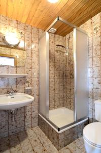 a bathroom with a shower and a sink at Sonneck Ferienhaus & Gruppenhaus 1450m am Hochzeiger im Pitztal in Jerzens