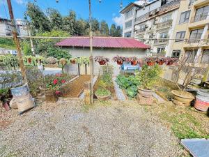 een tuin met potplanten voor een gebouw bij The 1996 House in Lao Cai