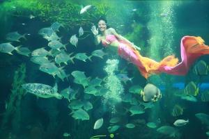 Hosté ubytování Alice's home Times city