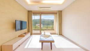 カピョンにあるGapyeong Club Fish Villas Pensionのソファとテレビのあるリビングルーム