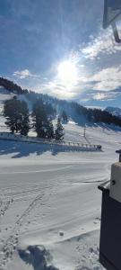 Příroda nedaleko apartmánu